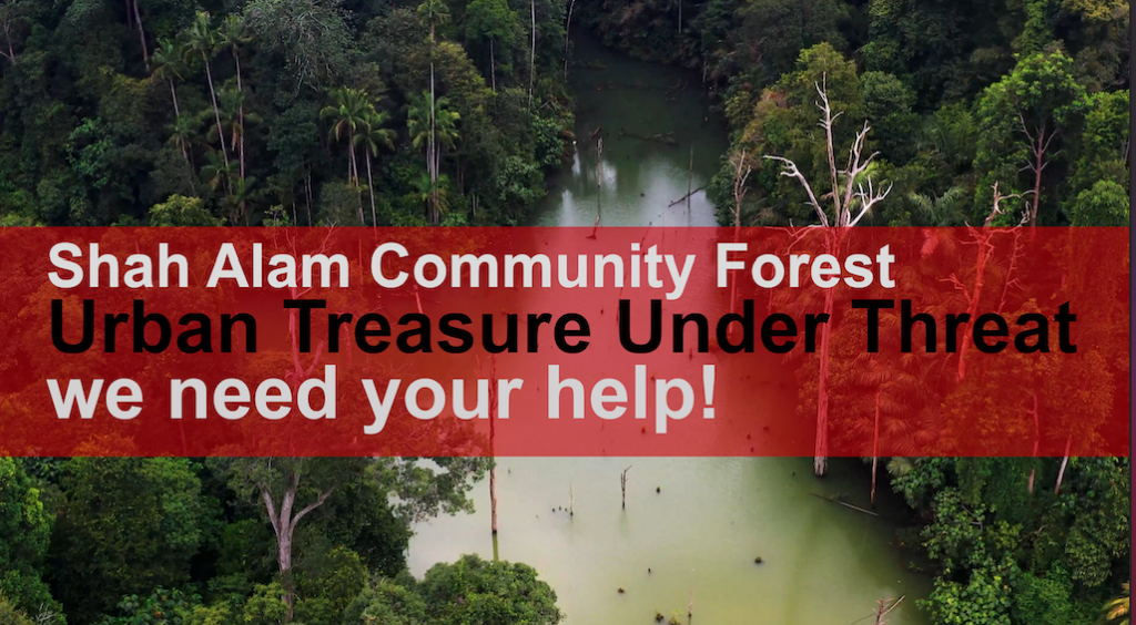 [Video] Shah Alam Community Forest - Urban Treasure Under Threat