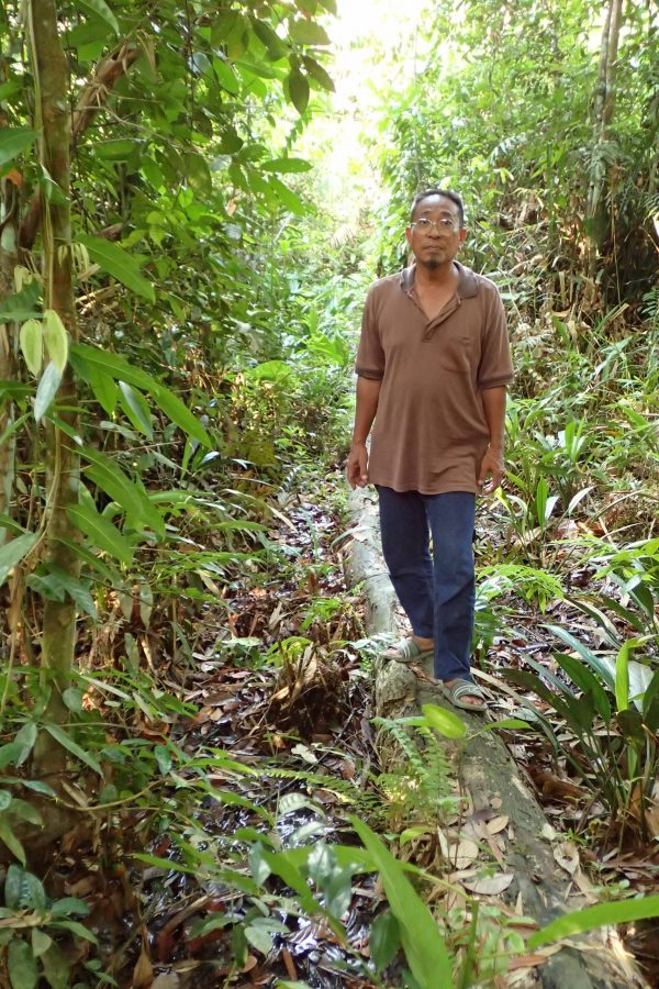 Wak Apuk shows that the forest is just next to their village. (photo: Andrew Sia)